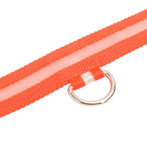 Light-Up Dog Collar
