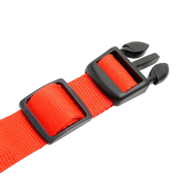 Light-Up Dog Collar