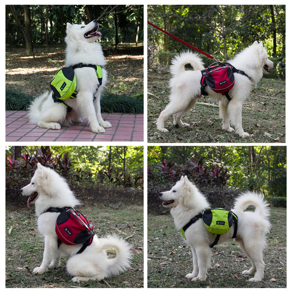 Saddle Bags for your adventurous dog