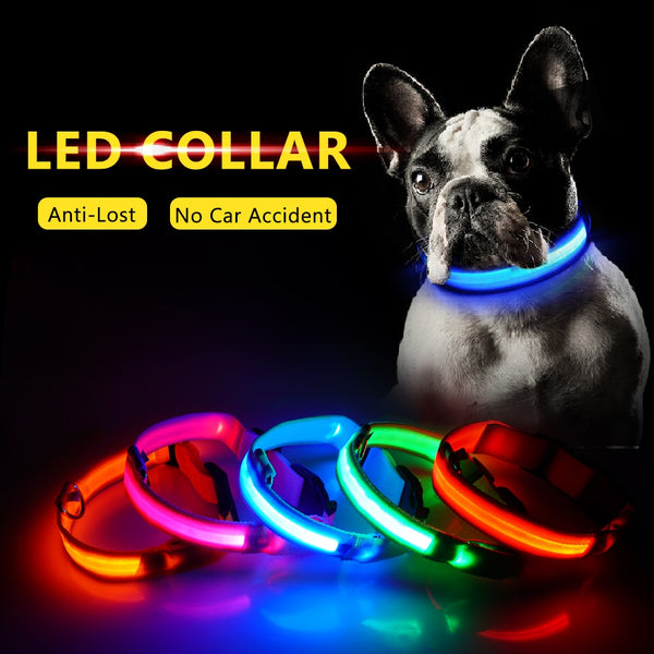 Light-Up Dog Collar