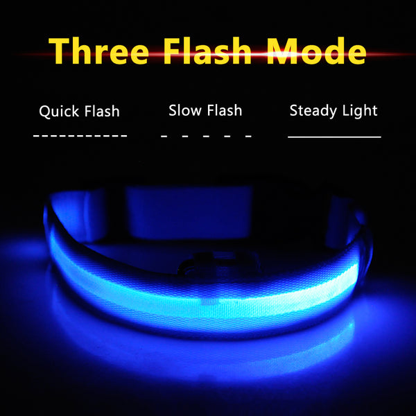 Light-Up Dog Collar