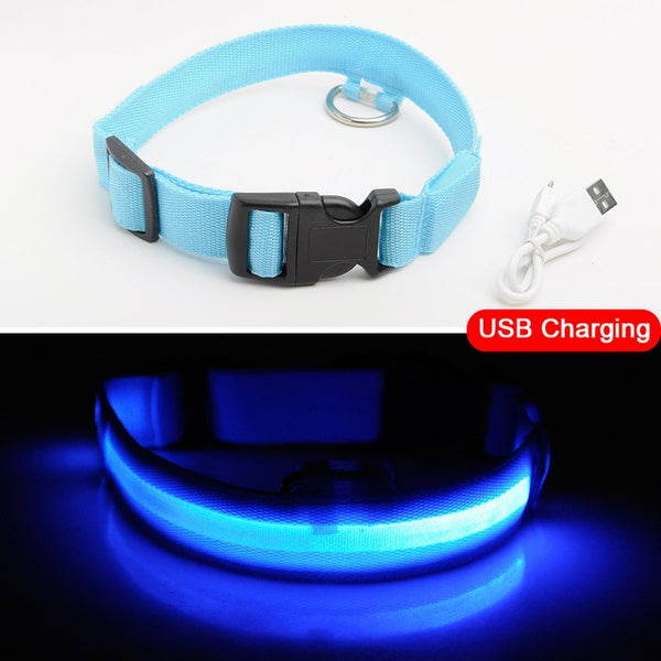Light-Up Dog Collar