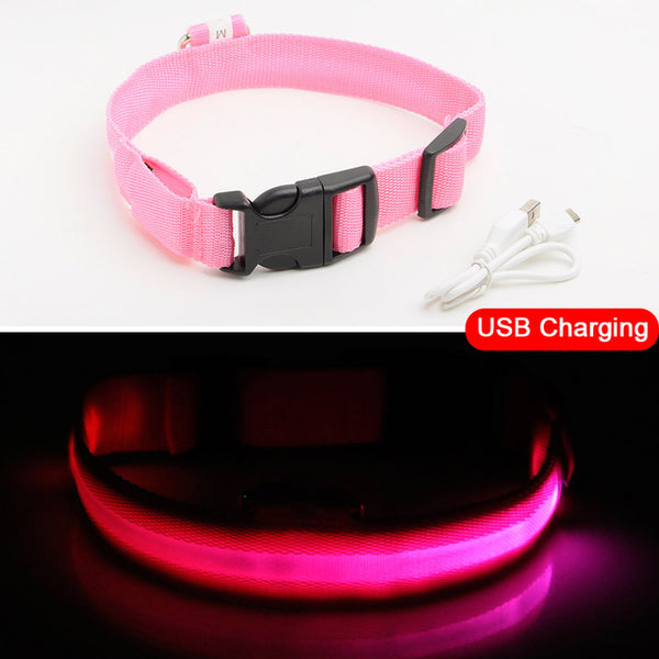 Light-Up Dog Collar